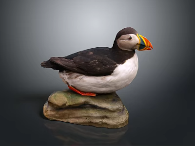 Realistic Puffin Sculpture With Detailed Black White Feathers Colorful Beak Standing On Stone Base 3d model