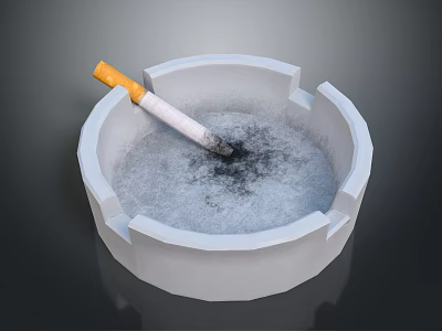 Decorative Ashtray and Cigarette Set with Ash in Round Shape for Home Decor 3d model