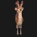 Stylized Brown Deer Model With Curly Antlers White Spots And Fluffy Mane