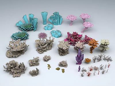 seabed dragon palace coral reef water grass reef shell 3d model seabed dragon palace coral reef water grass reef shell 3d model