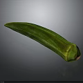 Fresh Green Okra Vegetable a Nutritious Ingredient for Healthy Cooking Dishes