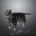 Gray Striped Cat With White Belly Green Eyes And Pink Ears Standing On Smooth Background