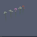 Colorful Garden Flowers with Orange Pink White Blooms Green Stems and Leaves in Row Arrangement