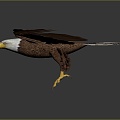 Modern Eagle Eagle Sculpture 3d model