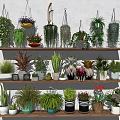 Bonsai Potted Plants Display With Hanging And Shelf Placed Various Types In Different Material Planters