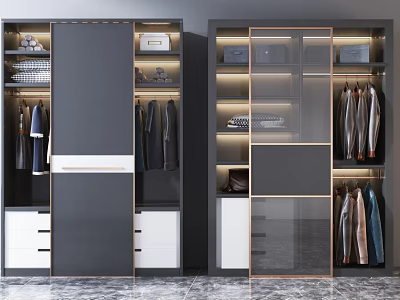 Modern Wardrobe Interior Design With Glass Door Hanging Space Drawers And LED Lighting 3d model