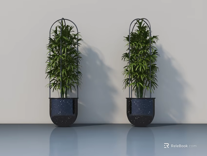 Potted Green Bamboo Plants In Black Metal Planters Against White Wall And Gray Reflective Floor 3d model 