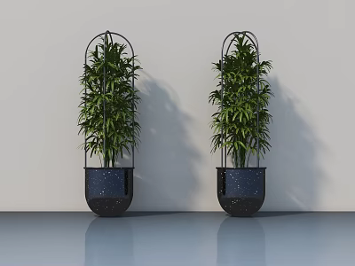 Potted Green Bamboo Plants In Black Metal Planters Against White Wall And Gray Reflective Floor 3d model