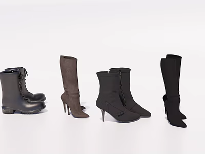 Fashionable Women's Boots Collection Featuring Black Brown High Heel Lace Up Zip Styles 3d model