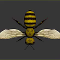 3D Rendered Bee With Yellow Black Stripes Transparent Wings And Red Eyes On Dark Background