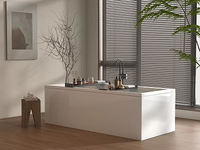 Bathtub Modern Storage Holding Telescopic Rack Storage Plate 3d model
