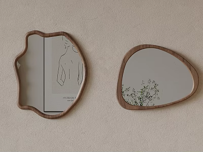 Irregular Shaped Wooden Framed Mirrors With Hand Drawn Art And Reflected Plant On Wall 3d model