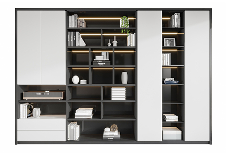 Modern bookcase 3d model