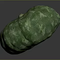 Green Pumpkin With White Spots Fresh Round And Healthy Organic Produce