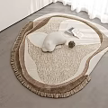 Irregular Shaped Beige Brown Textured Rug With Fringe Edges Sculpture Book Plant In Modern Room