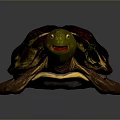 Reptile Tortoise With Red And Green Patterned Shell Green Head And Brown Limbs