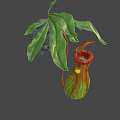 3D Model of Pitcher Plant With Green Leaves Red Striped Pitcher And Yellow Light