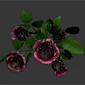 Beautiful Plant With Several Pink Roses And Green Leaves On Gray Background