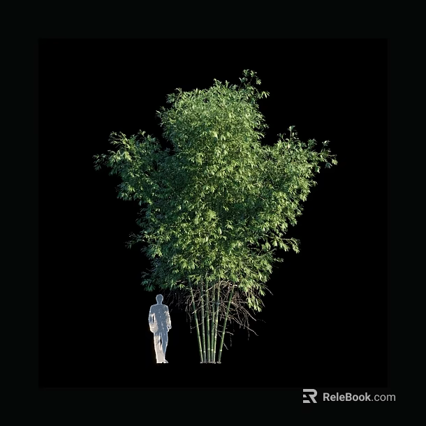 Tall Bamboo Plant With Lush Green Leaves And Human Figure For Scale 3d model 