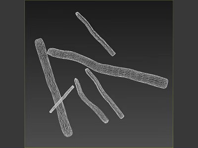 Minimalist Plant Stems White Line Drawing On Black Background Art 3d model