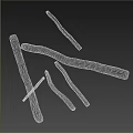 Minimalist Plant Stems White Line Drawing On Black Background Art
