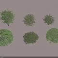 Different Shaped Garden Shrubs in Various Sizes with Rounded Balls and Green Foliage