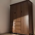 Modern Walnut Wood Wardrobe with Cabinet Doors and Drawers in Natural Light Interior