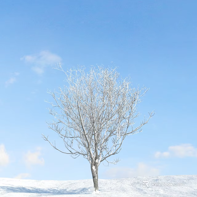 Bare Solitary Tree Standing Against Clear Blue Sky With White Clouds 3d model 