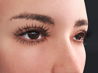 Woman's Facial Close Up With Beautiful Eyes Long Eyelashes And Well Defined Eyebrows 3d model