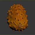Fresh Orange Spiky Kiwano Fruit With Bumpy Surface On Dark Background