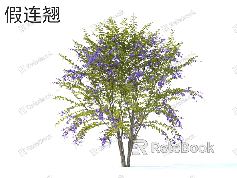 Forsythia suspensa Flowers and Shrubs Plants model