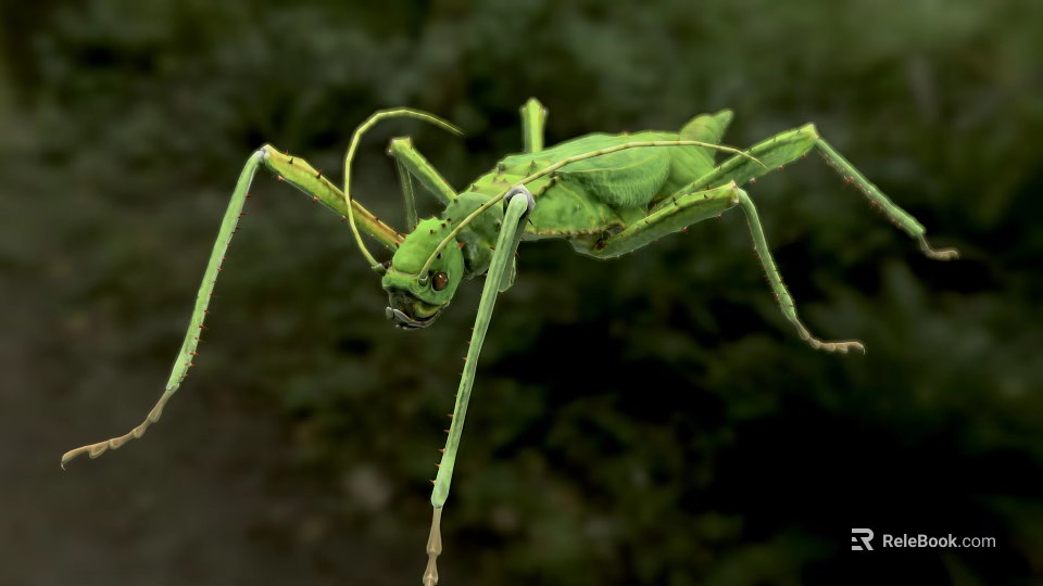 Green Reptile With Slender Body And Long Limbs In Lush Natural Vegetation 3d model 