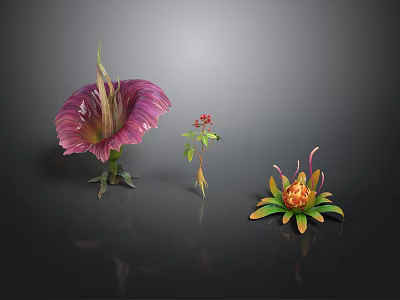 Vibrant Diverse Plants Featuring Purple Red And Orange Flowers On Black Background 3d model