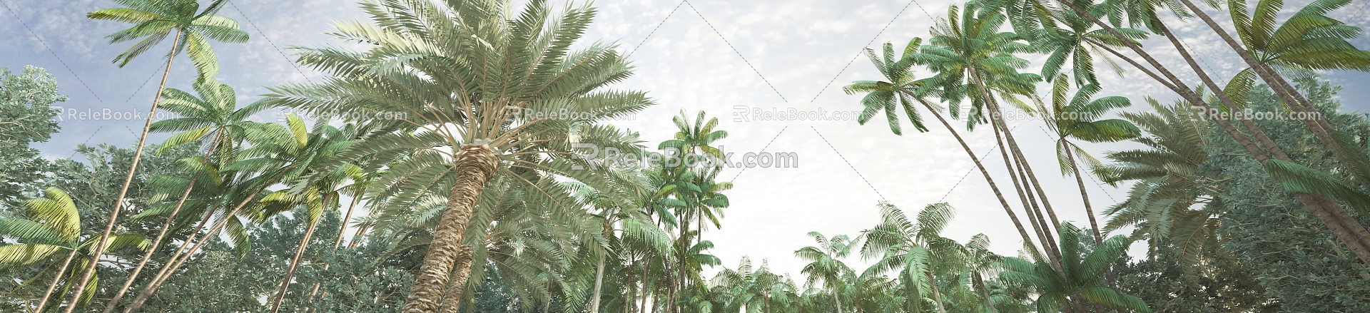 Modern Palm Tree Coconut Grove 3d model