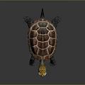 Turtle With Vibrant Patterned Shell Extended Head Open Mouth And Small Insect On Dark Surface