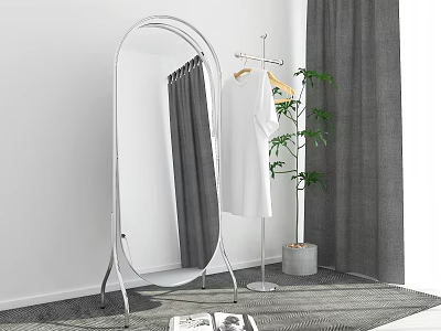Full Length Mirror with Silver Metal Stand Hanging White Dress Green Plant Gray Curtains 3d model