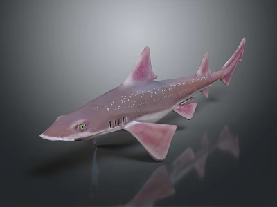 Pink Spotted Shark with Distinct Fins 3D Rendered on Dark Background with Reflection 3d model