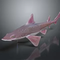 Pink Spotted Shark with Distinct Fins 3D Rendered on Dark Background with Reflection