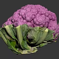 Fresh Vibrant Purple Cauliflower With Green Leaves On Dark Background
