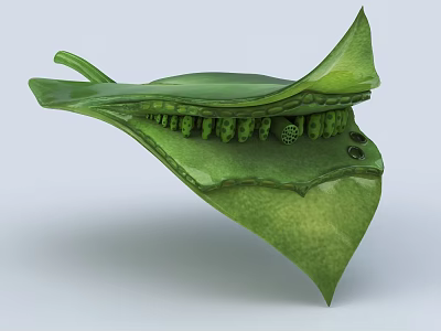 Medical Device Green Leaf Shaped With Precision Internal Components 3d model