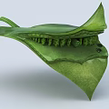 modern leaf structure photosynthesis 3d model