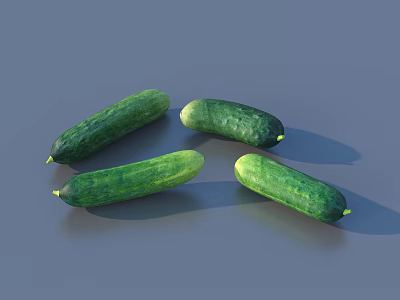 Four Fresh Green Cucumbers Arranged on Gray Background with Natural Shine 3d model