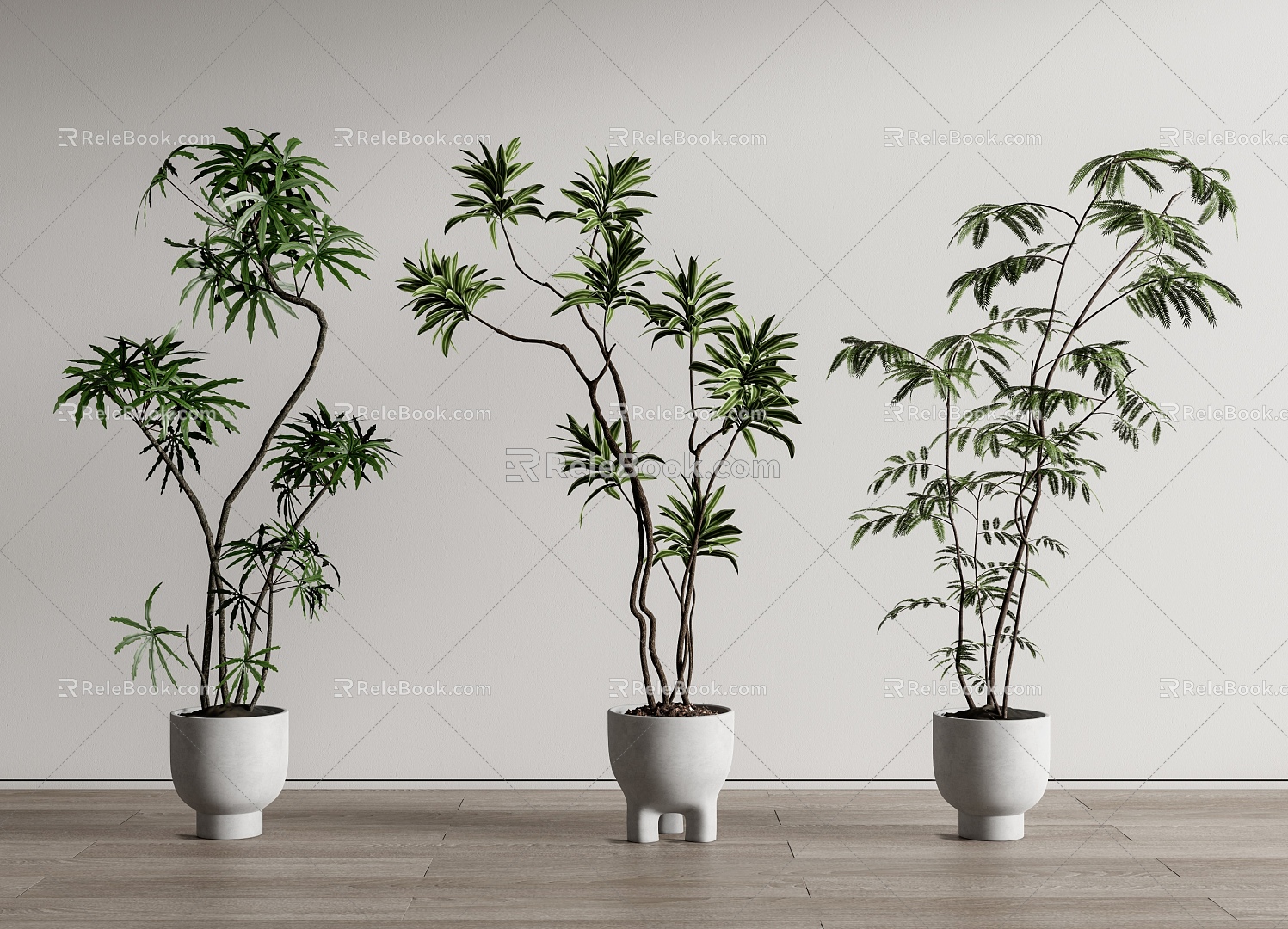 green plant potted plant potted floor plant 3d model