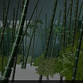 Dense Bamboo Forest with Tall Green Stems and Lush Foliage in Soft Natural Light