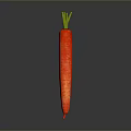 Fresh Healthy Red Carrot with Green Leafy Top on a Gray Background