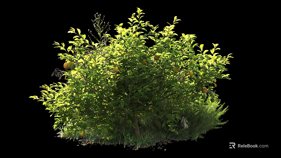Lush Green Shrub With Vibrant Yellow Fruits And Fresh Leaves In Garden 3d model 