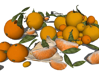Fresh Ripe Oranges And Tangerines With Green Leaves And Peeled Segments 3d model