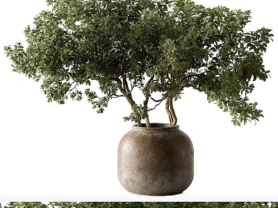 Ornamental Decor Set with Lush Green Plant in Rustic Clay Pot and Multiple Trunks 3d model