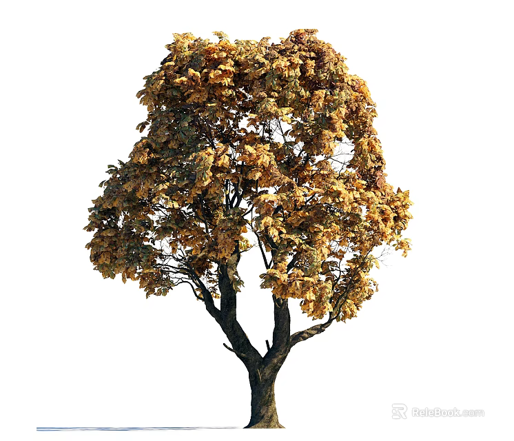 Vibrant Autumn Tree With Dark Trunk Golden Orange Leaves And Lush Canopy 3d model 