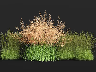 Herbaceous Crops With Central Light Brown And Surrounding Green Grass 3d model